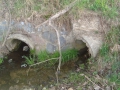 DSC00307