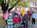 IMG_20191105_094122