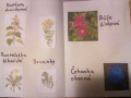 6-trida_05
