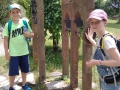 IMG_20230622_132929_1