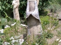 IMG_20230622_133108_1