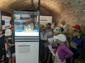 PXL_20230622_080316112