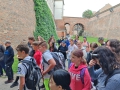 IMG_20240510_143458web