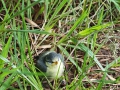 IMG_20240531_081408web