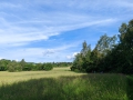 IMG_20240531_090414web