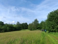 IMG_20240531_090518web