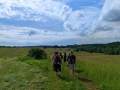 IMG_20240531_093522web
