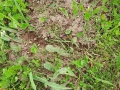 053_31052024web