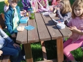 IMG-20240612-WA0027