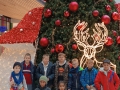 IMG_20241220_113249