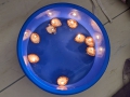 PXL_20241219_100850865