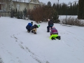 10_20250115_130744web