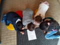 IMG-20250404-WA0031