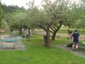 DSC02890
