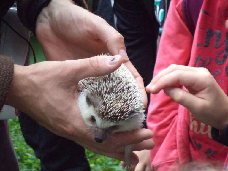 Projektový den – ZOO Olomouc