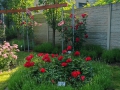 IMG_20250619_083238web