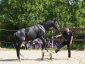 DSC07937web