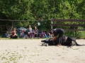DSC07940web