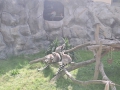 20250620_101412web