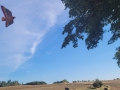 20250902_084447web