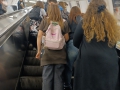 IMG_20260416_122057web