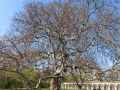 IMG_20260417_114611-web