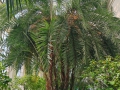 IMG_20260417_121825-web