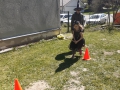 20260430_132012web