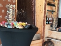 IMG-20260505-WA0011-web