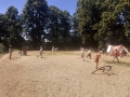 20260624_113248-web