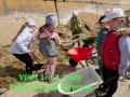 PXL_20260429_094026535.MPweb_