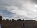 IMG-20261009-WA0006-web