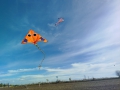 IMG-20261009-WA0026-web