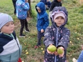 IMG-20261009-WA0043-web