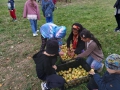 IMG-20261009-WA0052-web