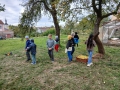 IMG-20261009-WA0054-web