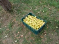 IMG-20261009-WA0068-web