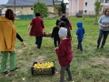 IMG-20261009-WA0077-web