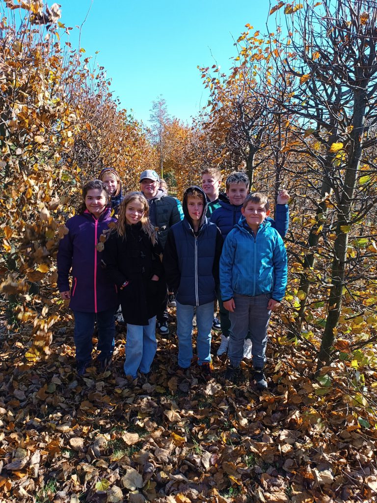 Den stromů v 6. třídě 🌳 