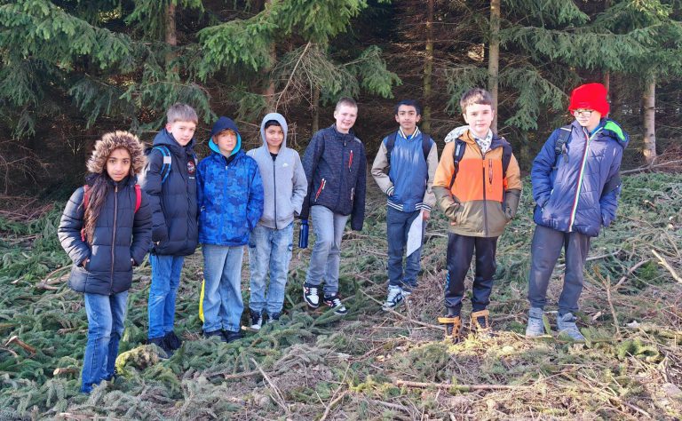 Třídění živých organismů